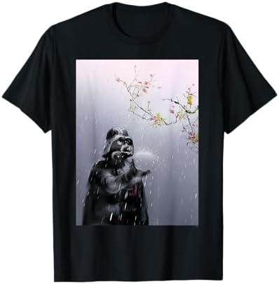 Amazon.com: Star Wars Celebration Japan 2025 Key Art Darth Vader